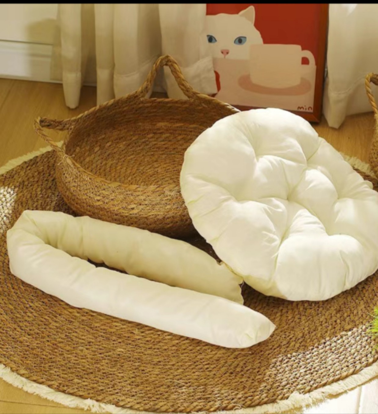 猫咪使用猫窝场景